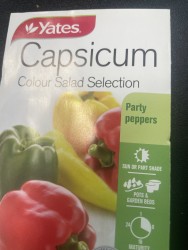 Capsicum - Salad Selection Seeds
