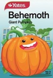 Behemoth Giant Pumpkin Kids Seeds