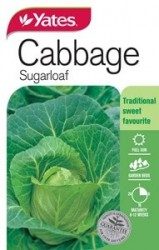 Cabbage Sugarloaf Seeds