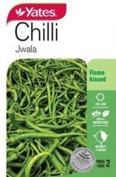 Chilli - Jwala Seeds