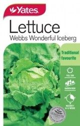 Lettuce - Iceberg Seeds