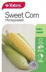 Sweet Corn - Honeysweet Seeds
