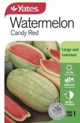 Watermelon - Candy Red Seeds