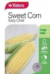Sweet Corn - Early Chief Seeds